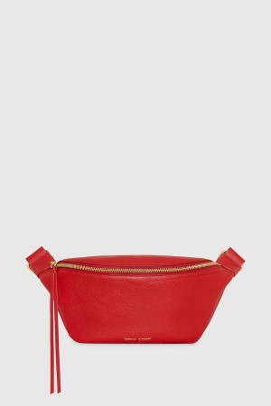 Borseta Dama Rebecca Minkoff Bree Belt Bag Roz | 9026875-LK