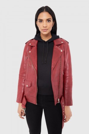 Leather Dama Rebecca Minkoff Tabitha Moto Visinii | 7435218-RX