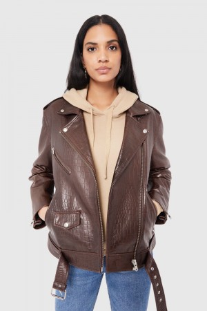 Leather Dama Rebecca Minkoff Tabitha Moto Espresso | 1472695-BP